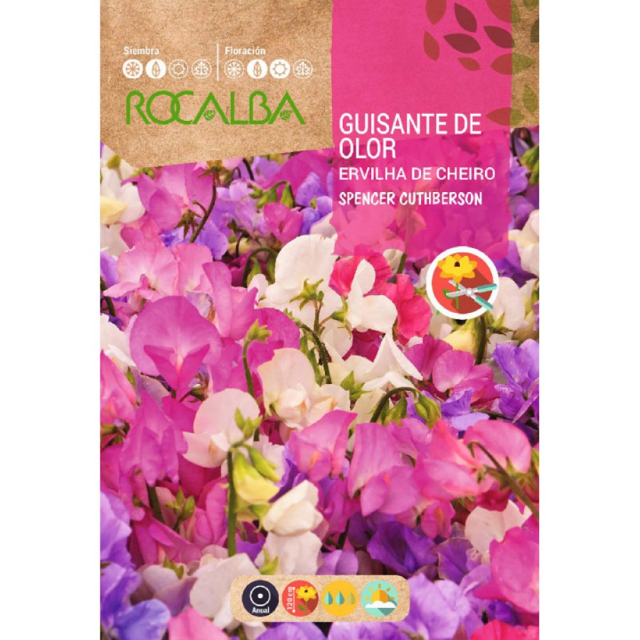 S.ERVILHA DE CHEIRO ROCALBA ESTACA SPENC S.ERVILHA DE CHEIRO ROCALBA ESTACA SPENC