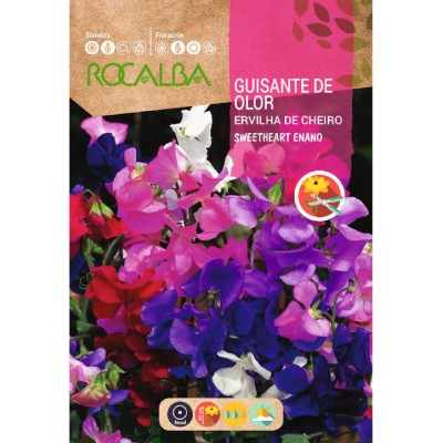 S.ERVILHA DE CHEIRO ROCALBA ANAO SWEETHE
