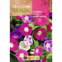 S.IPOMEA ROCALBA VOLUBILIS VARIADOS