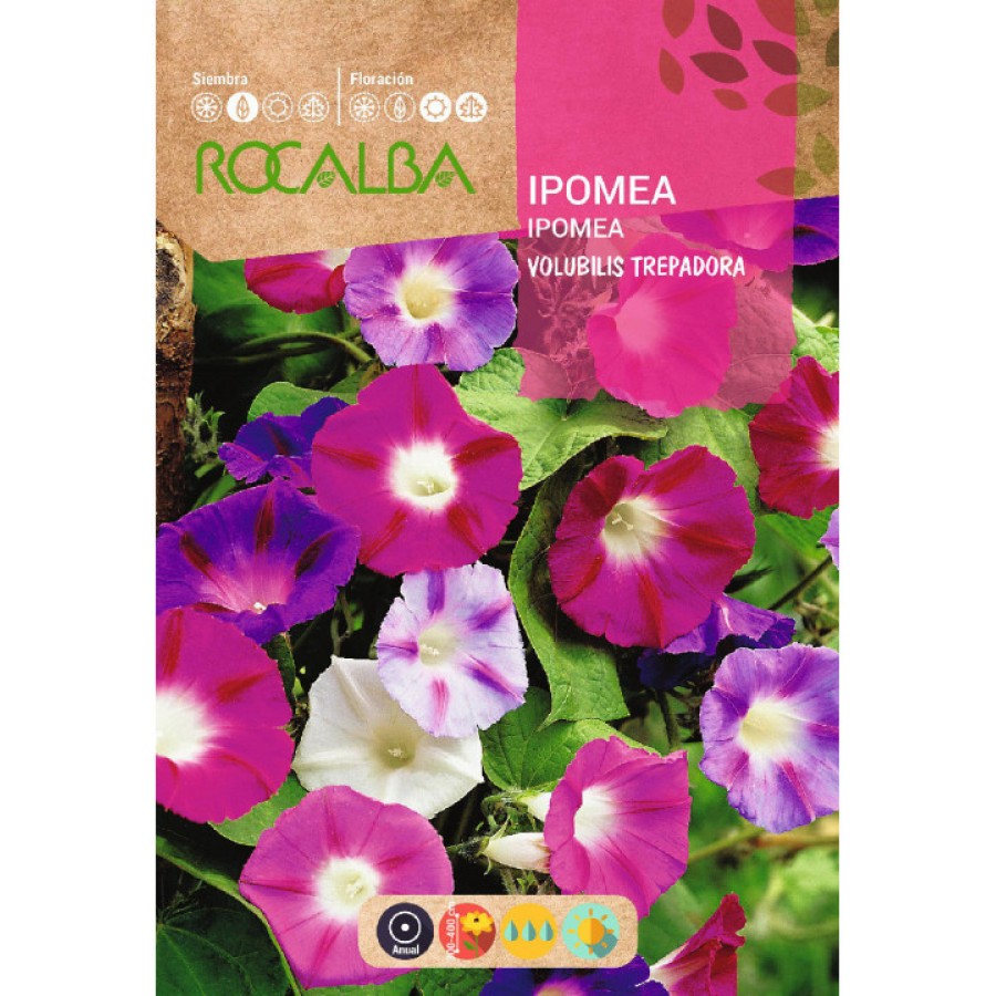 S.IPOMEA ROCALBA VOLUBILIS VARIADOS