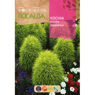 S.KOCHIA ROCALBA TRICOPHYLLA OVIFORME