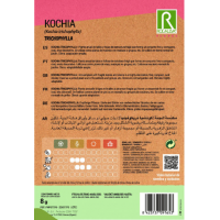 S.KOCHIA ROCALBA TRICOPHYLLA OVIFORME S.KOCHIA ROCALBA TRICOPHYLLA OVIFORME