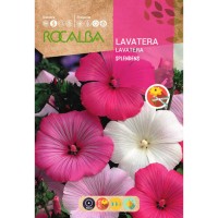 S.LAVATERA ROCALBA SPLENDENS S.LAVATERA ROCALBA SPLENDENS