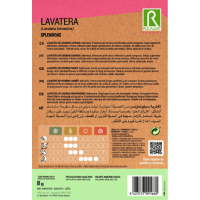 S.LAVATERA ROCALBA SPLENDENS S.LAVATERA ROCALBA SPLENDENS