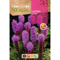 S.LIATRIS ROCALBA SPICATA