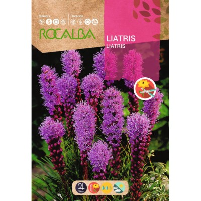 S.LIATRIS ROCALBA SPICATA