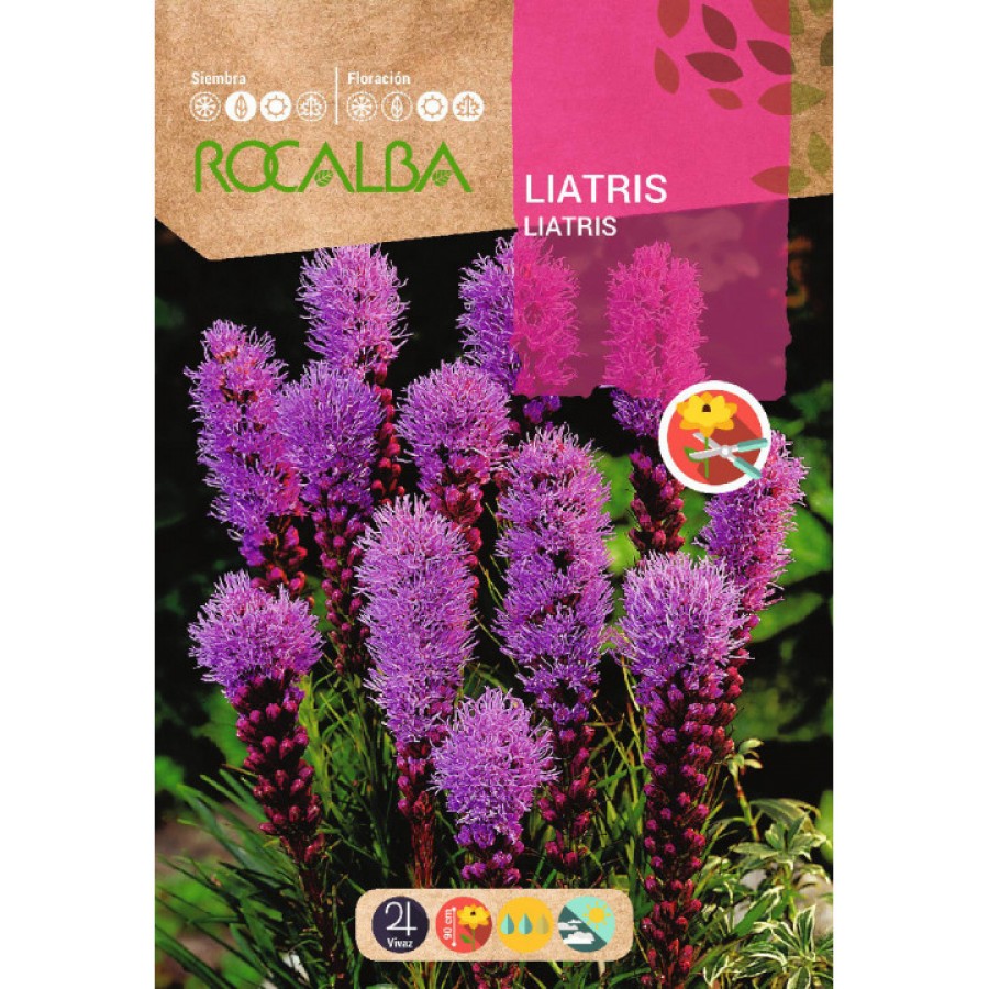 S.LIATRIS ROCALBA SPICATA