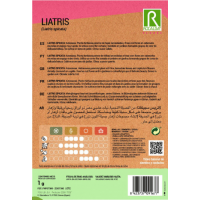 S.LIATRIS ROCALBA SPICATA S.LIATRIS ROCALBA SPICATA