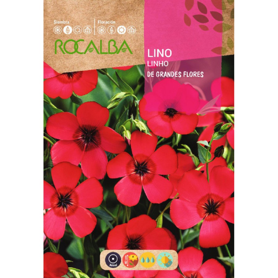 S.LINHO ROCALBA VERMELHO GRANDE S.LINHO ROCALBA VERMELHO GRANDE