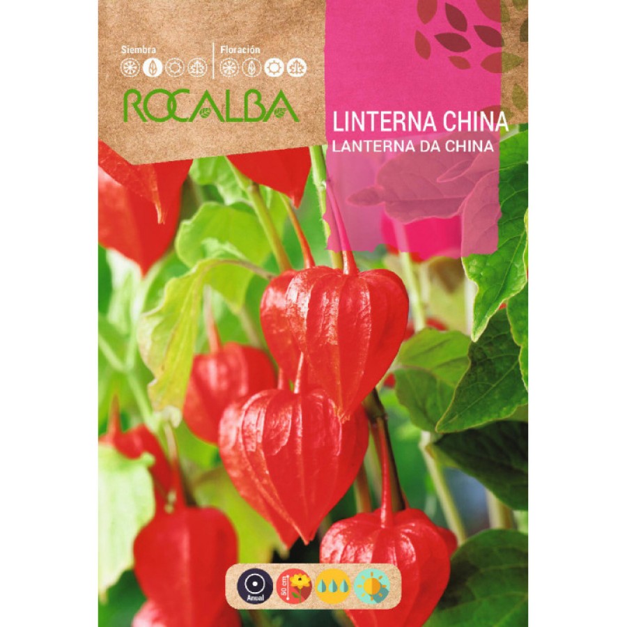S.LANTERNA VERMELHA ROCALBA S.LANTERNA VERMELHA ROCALBA