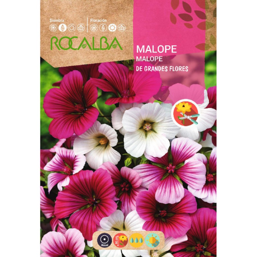 S.MALOPE ROCALBA GRANDES FLORES S.MALOPE ROCALBA GRANDES FLORES