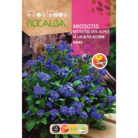 S.MIOSOTIS ANAO AZUL ROCALBA S.MIOSOTIS ANAO AZUL ROCALBA