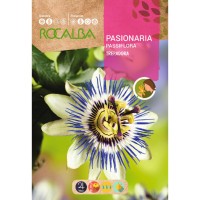 S.PASSIFLOREA TREPADEIRA ROCALBA