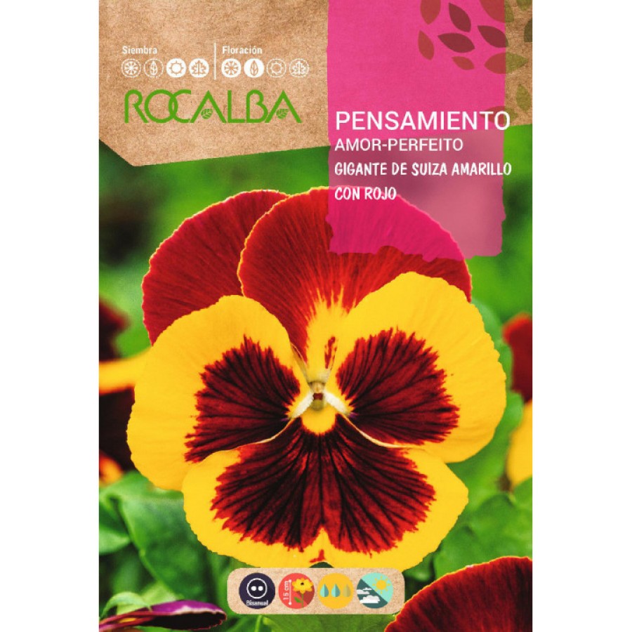 S.AMOR PERFEIRO ROCALBA GIGANTE AMAR/VEM S.AMOR PERFEIRO ROCALBA GIGANTE AMAR/VEM