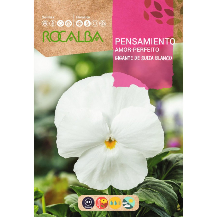 S.AMOR PERFEITO ROCALBA BRANCO GIGANTE S.AMOR PERFEITO ROCALBA BRANCO GIGANTE