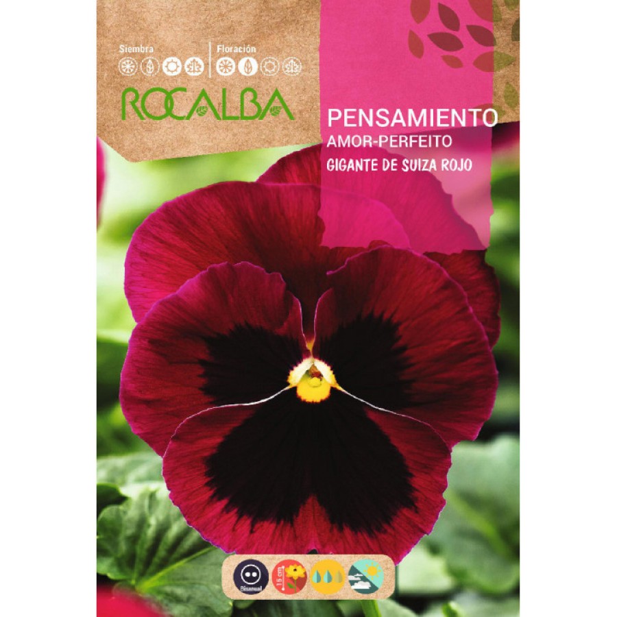 S.AMOR PERFEITO ROCALBA VERMELHO C/NEGRO S.AMOR PERFEITO ROCALBA VERMELHO C/NEGRO