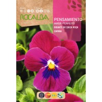 S.AMOR PERFEITO ROCALBA GIGANTE ROSA CAR S.AMOR PERFEITO ROCALBA GIGANTE ROSA CAR