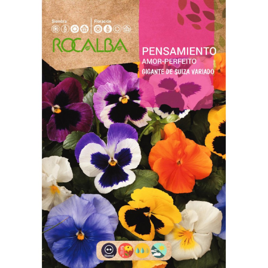 S.AMOR PERFEITO ROCALBA GIGANTE SUIÇA VA S.AMOR PERFEITO ROCALBA GIGANTE SUIÇA VA