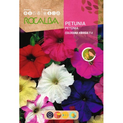 S.PETUNIA ROCALBA COLORAMA F-2