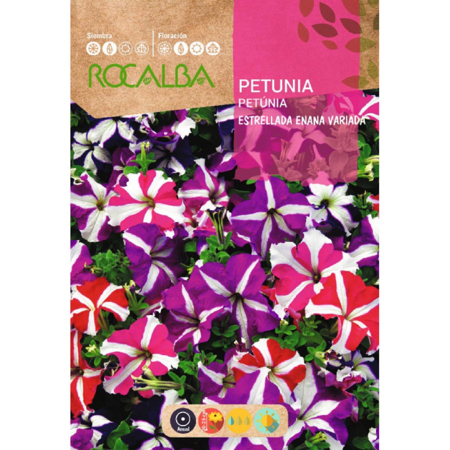 S.PETUNIA ROCALBA ESTRELADA ANA MISTURA