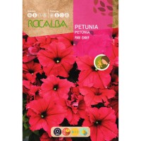 S.PETUNIA ROCALBA VERMELHA " FIRE " S.PETUNIA ROCALBA VERMELHA " FIRE "