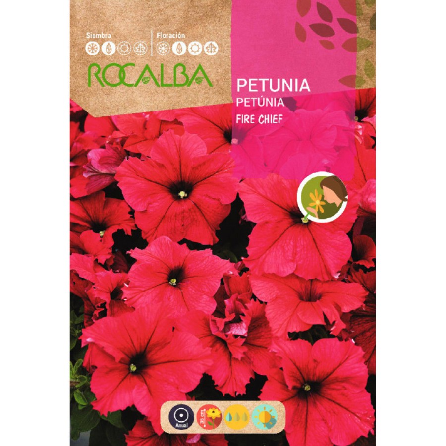 S.PETUNIA ROCALBA VERMELHA " FIRE " S.PETUNIA ROCALBA VERMELHA " FIRE "