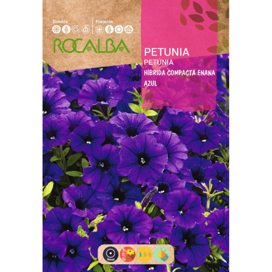 S.PETUNIA ROCALBA ANA AZUL COMPACTO