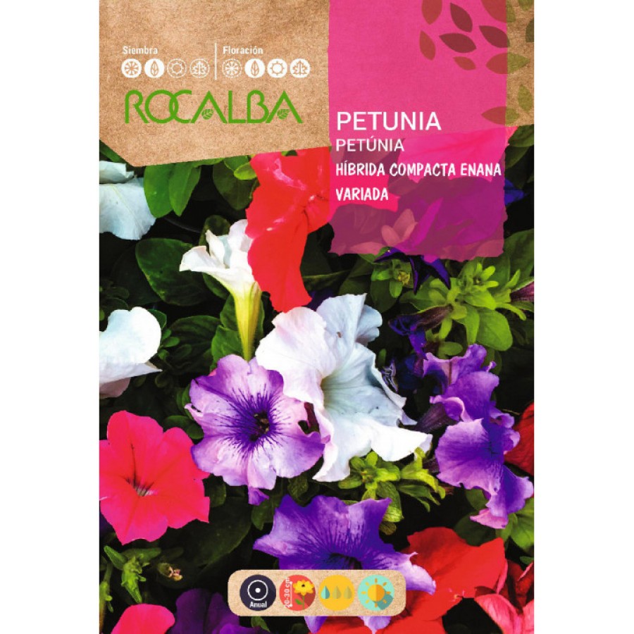 S.PETUNIA ROCALBA HIBR.COMPACTA ANA VARI S.PETUNIA ROCALBA HIBR.COMPACTA ANA VARI