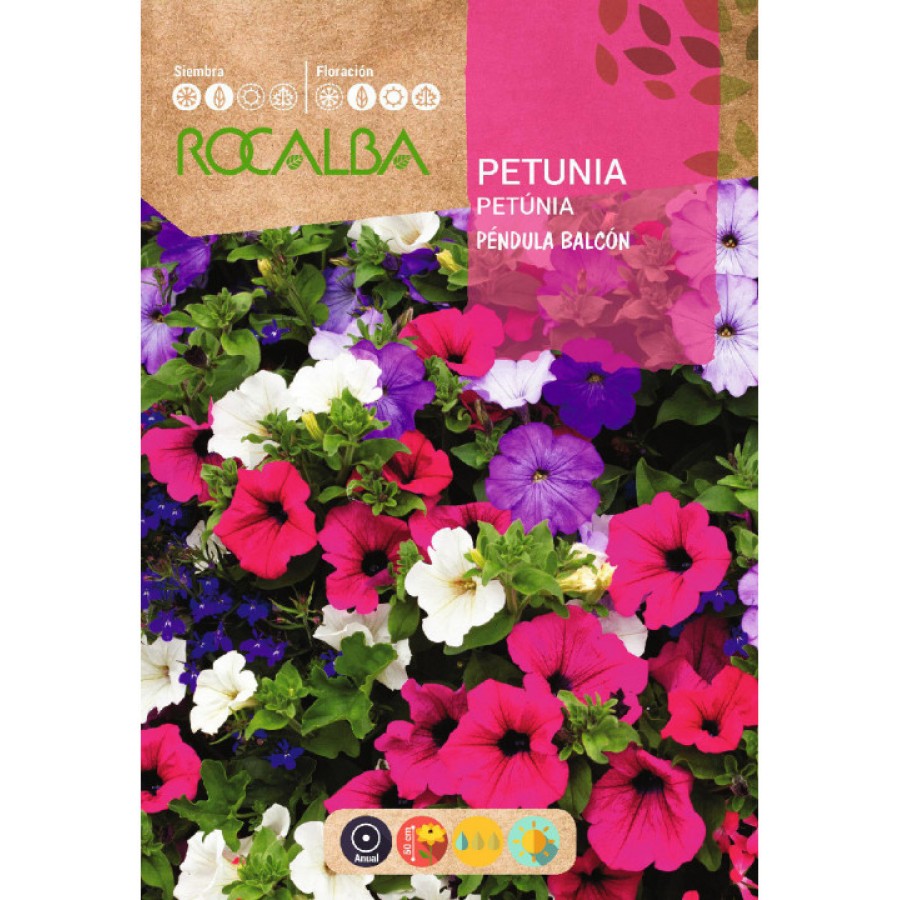 S.PETUNIA ROCALBA PENDULA A BALCAO MIST. S.PETUNIA ROCALBA PENDULA A BALCAO MIST.