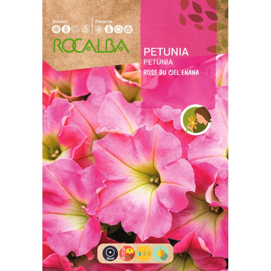 S.PETUNIA ROCALBA ANA ROSA DO CEU S.PETUNIA ROCALBA ANA ROSA DO CEU