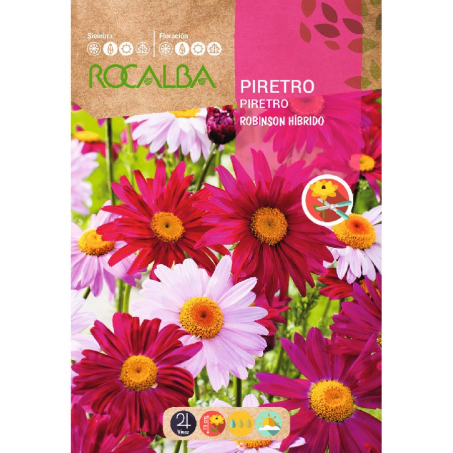 S.PIRETRO ROCALBA HIBRIDO VARIADA S.PIRETRO ROCALBA HIBRIDO VARIADA