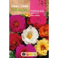 S.PORTULACA ROCALBA DUPLA VARIADA S.PORTULACA ROCALBA DUPLA VARIADA