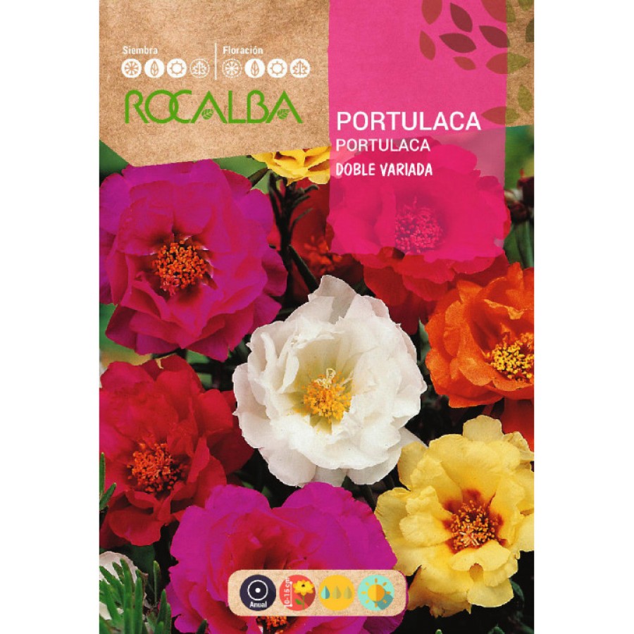 S.PORTULACA ROCALBA DUPLA VARIADA S.PORTULACA ROCALBA DUPLA VARIADA