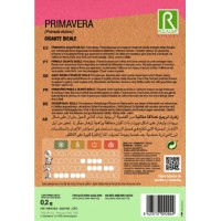 S.PRIMULAS ROCALBA GIGANTE IDEAL MISTURA