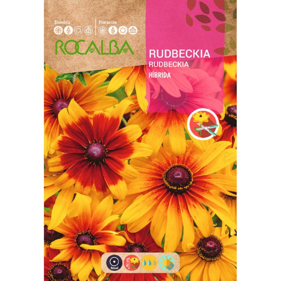S.RUDBECKIA ROCALBA HIBRIDA MISTURA