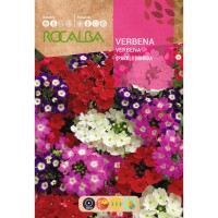S.VERBENA ROCALBA HIBRIDA SPAK