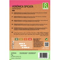 S.VERONICA ROCALBA SPICATA AZUL S.VERONICA ROCALBA SPICATA AZUL