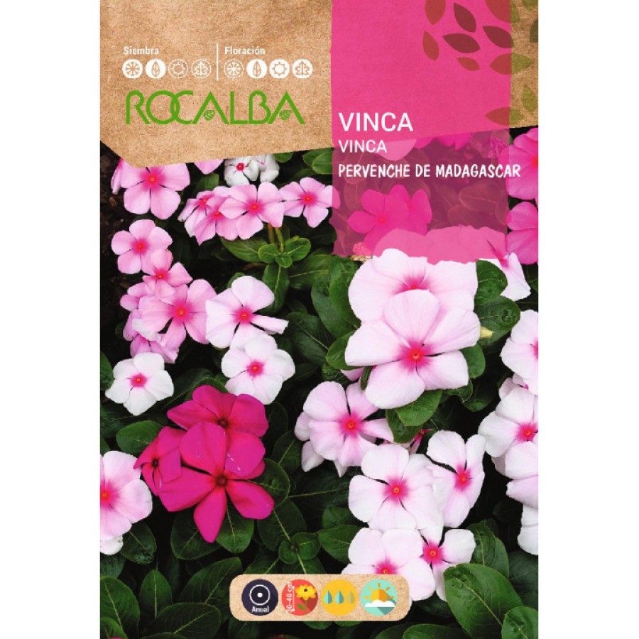 S.VINCA ROCALBA PERVENCHE VARIADA S.VINCA ROCALBA PERVENCHE VARIADA