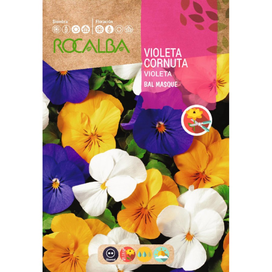 S.VIOLETA ROCALBA CORNUTA VARIADA