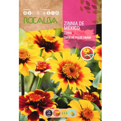 S.ZINIA ROCALBA ANA DO MEXICO