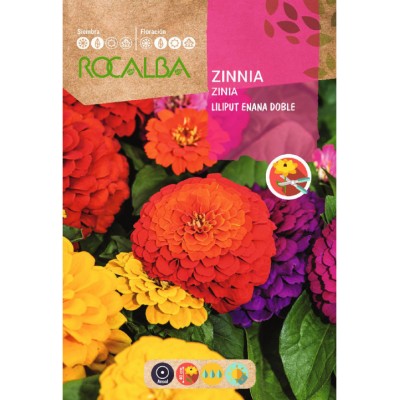 S.ZINIA ROCALBA ANA BOBRADA LILIPUT