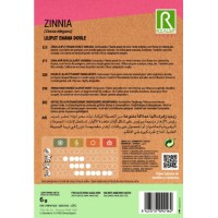 S.ZINIA ROCALBA ANA BOBRADA LILIPUT