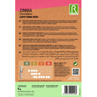 S.ZINIA ROCALBA ANA BOBRADA LILIPUT S.ZINIA ROCALBA ANA BOBRADA LILIPUT