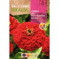S.ZINIA ROCALBA GIGANTE FLOR DALIA VERME