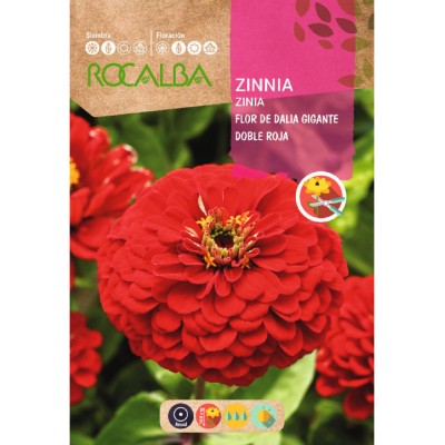 S.ZINIA ROCALBA GIGANTE FLOR DALIA VERME