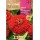 S.ZINIA ROCALBA GIGANTE FLOR DALIA VERME