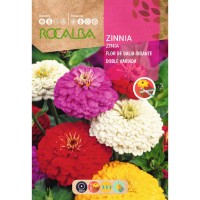 S.ZINIA ROCALBA GIGANTE FLOR DALIA