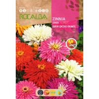 S.ZINIA ROCALBA GIGANTE SUPERCACTUS