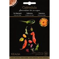 SEMENTE FLORES COMESTÍVEIS CALÊNDULA