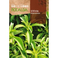 S.STEVIA ROCALBA REBAUDIANA S.STEVIA ROCALBA REBAUDIANA